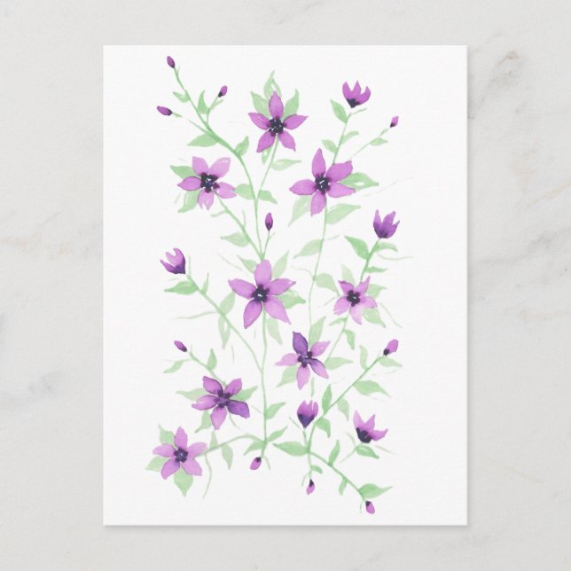 Carte Postale Fleurs violettes sur la vigne (Devant)
