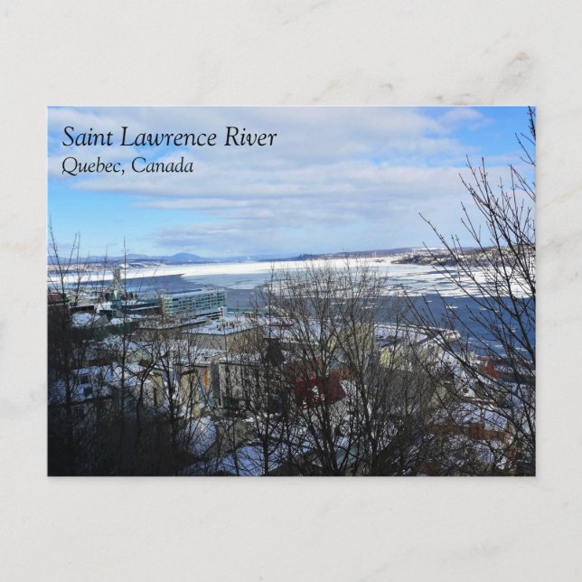 Carte Postale Fleuve Saint-Laurent en hiver, Québec, Canada (Devant)