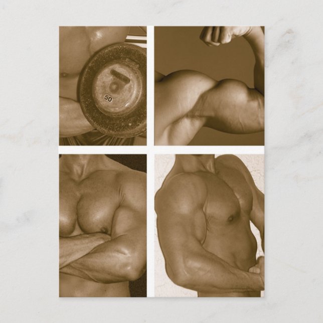 Carte Postale Flex musculaire : www.AriesArtist.com (Devant)