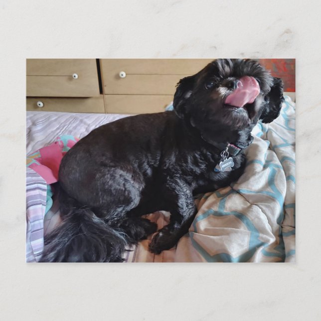 Carte Postale Flicker de la langue (Devant)