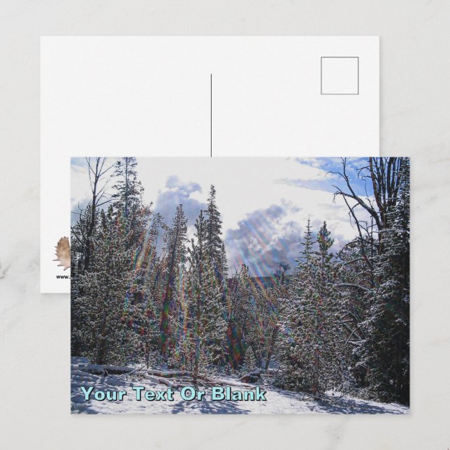 Carte Postale Floatplane De Havilland Beaver (Devant / Derrière)