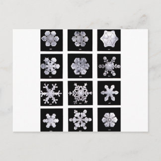 Carte Postale Flocons de neige