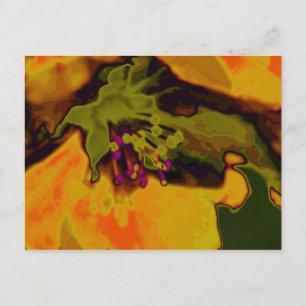 Carte Postale floraison de pommier