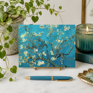 Carte Postale Floraisons d'amandiers