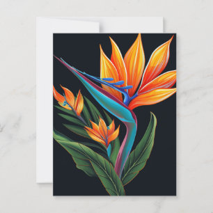 Carte Postale FLORAL ART # 11 Boîte cadeau
