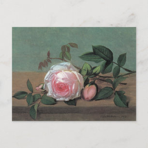 Carte postale Floral Art Rose