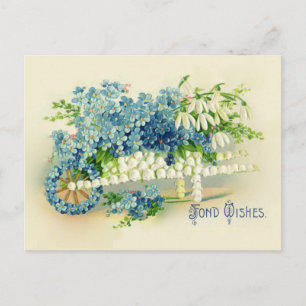 Carte Postale Floral Barrow victorien Oubliez-moi Noeuds & Snowd