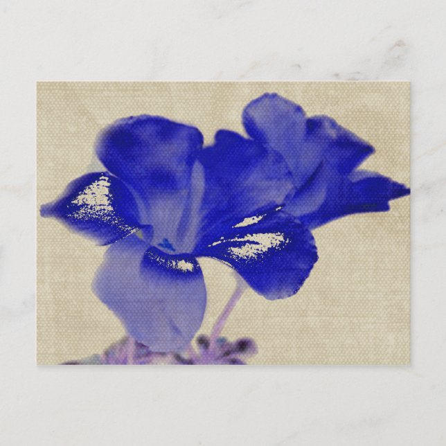 Carte postale Floral Bleu (Devant)