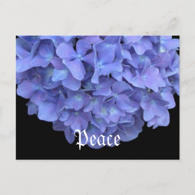 Carte Postale Floral de la paix (Devant)