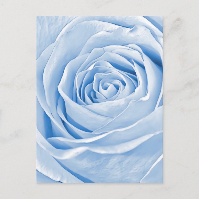 Carte Postale Floral Photo Dainty Rose bleu clair (Devant)