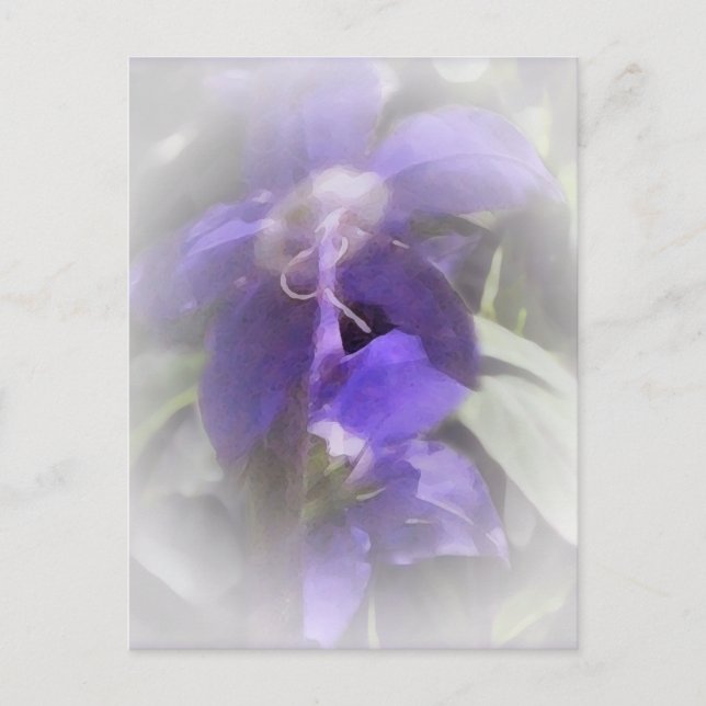 Carte Postale Floral Pretty (Devant)