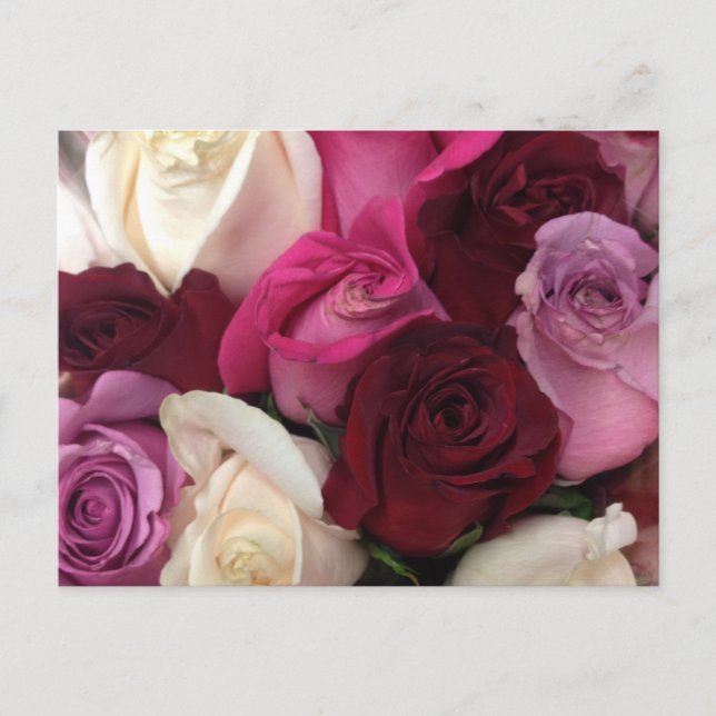 Carte Postale Floral rose (Devant)