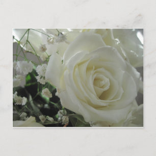 Carte Postale Floral rose