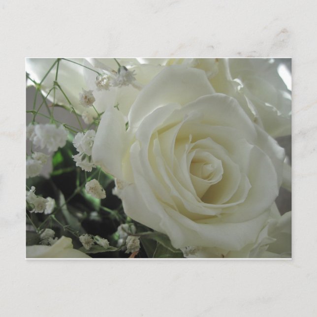 Carte Postale Floral rose (Devant)