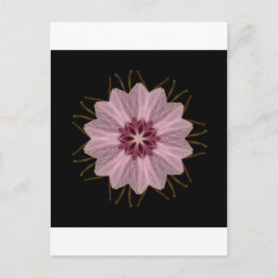 Carte Postale Floral rose Abstrait