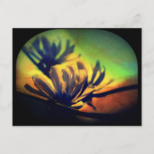 Carte postale Floral Sunset View