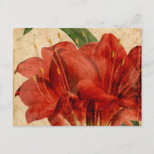 Carte Postale Floral vibrant VIII