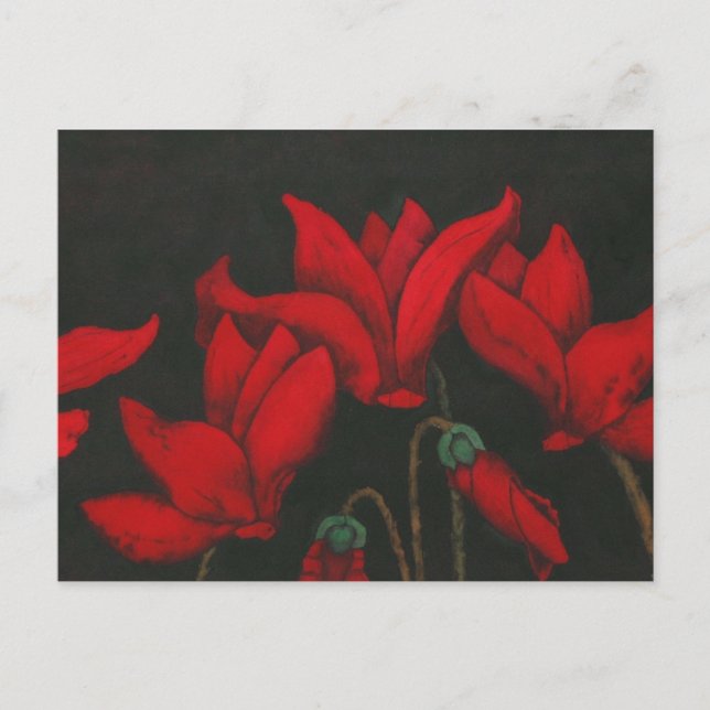 Carte postale florale "Cycalman" (Devant)