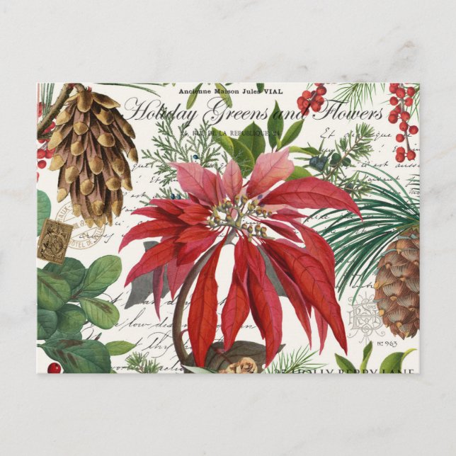 Carte postale florale de jardin d'hiver vintage mo (Devant)