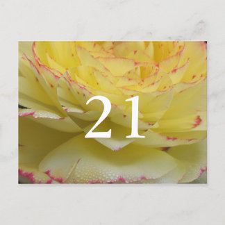 Carte postale florale délicate pour 21e anniversai