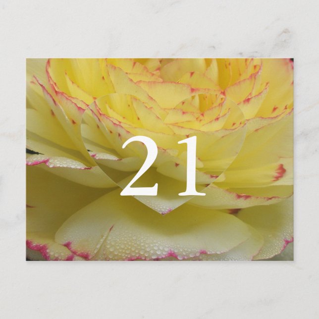 Carte postale florale délicate pour 21e anniversai (Devant)