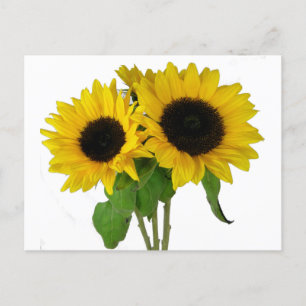 Carte postale florale florale jaune