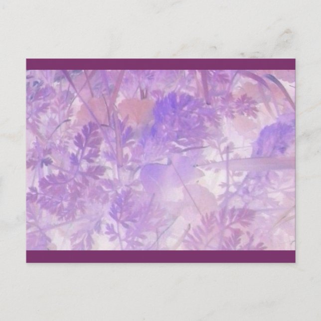 Carte postale florale Lavender (Devant)