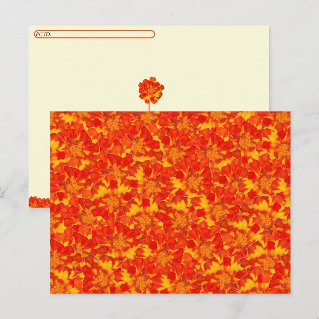 Carte postale Florale orange et rouge Marigold (Devant / Derrière)