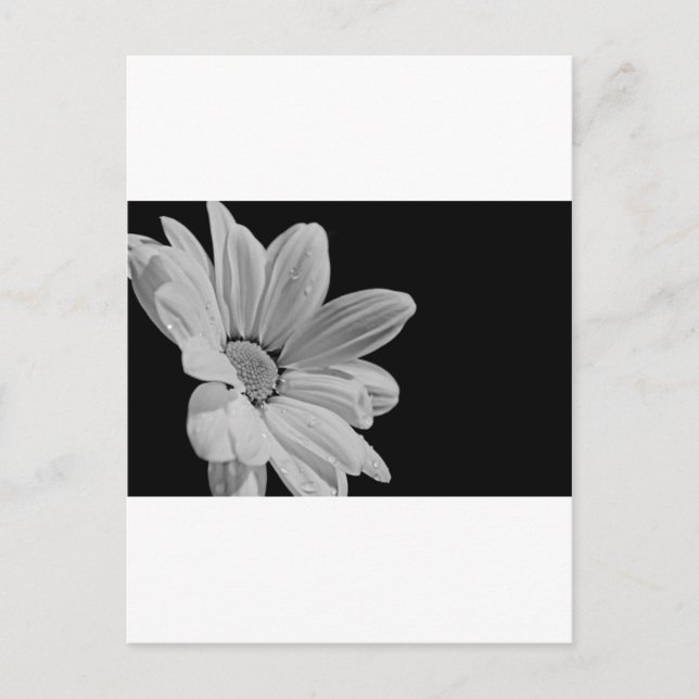 Carte Postale Florale Paisible (Devant)
