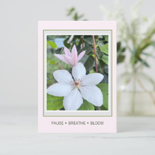 Carte postale florale Pause Respirer Épanouir Jard