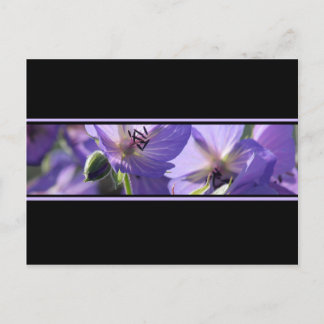 Carte postale Florale violet noir et blanc