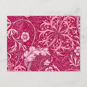 Carte Postale Flore d'algues Art nouveau, Fuchsia rose