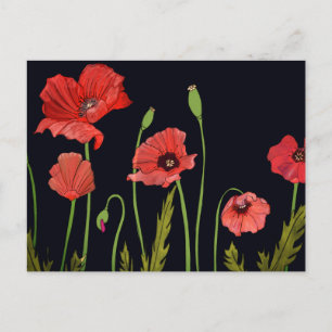 Carte Postale Flore de fleurs de pavot rouge