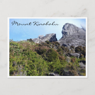 Carte Postale flore du mont kinabalu