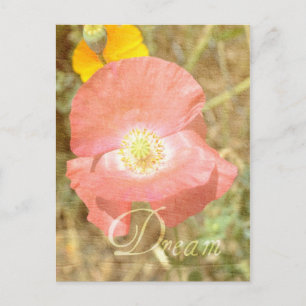 Carte postale Flore Poppy Dream