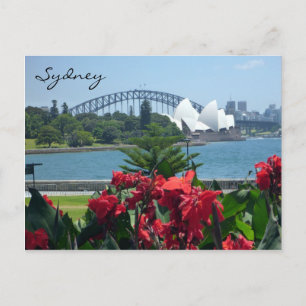 Carte Postale flore portuaire de sydney