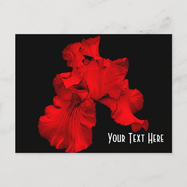 Carte Postale Flore rouge Hot Iris personnalisable (Devant)