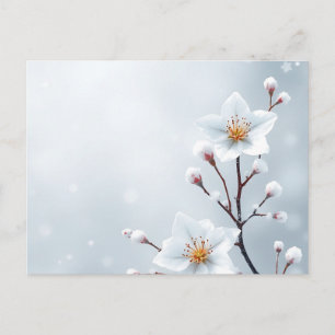 Carte Postale Flores hivernales et détails gelés