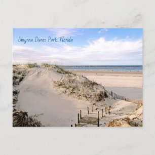 Carte postale Florida Beach Dunes Park Ponce Inlet