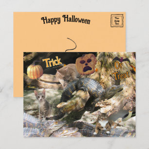 Carte postale Florida Cat et Gator Halloween