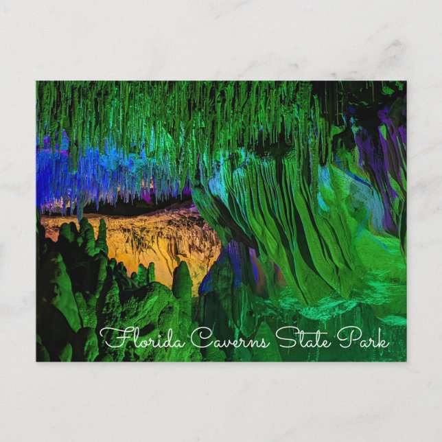 Carte postale Florida Caverns State Park (Devant)