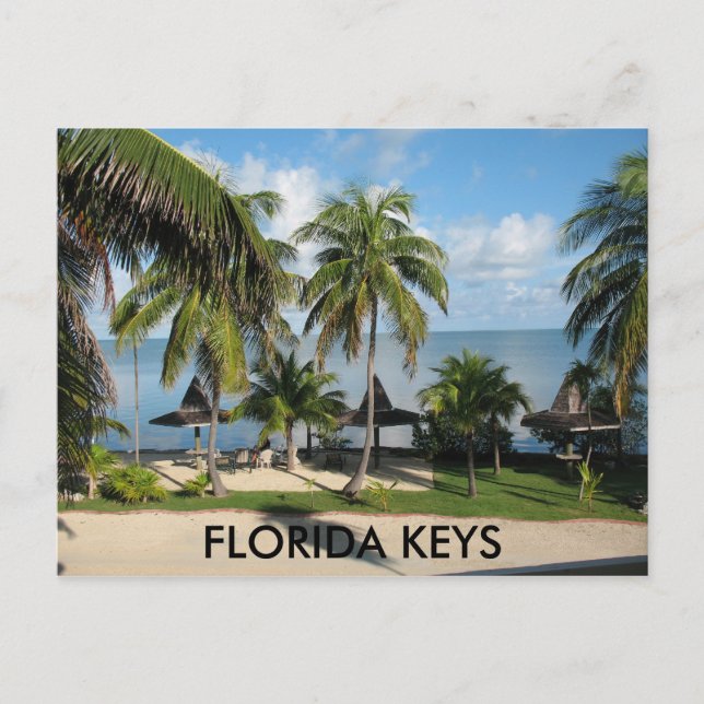 Carte postale Florida Keys (Devant)