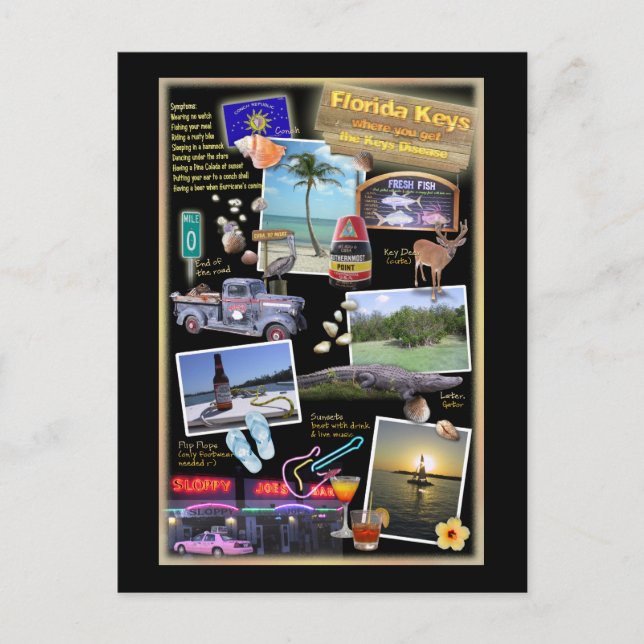 Carte Postale Florida Keys (Devant)