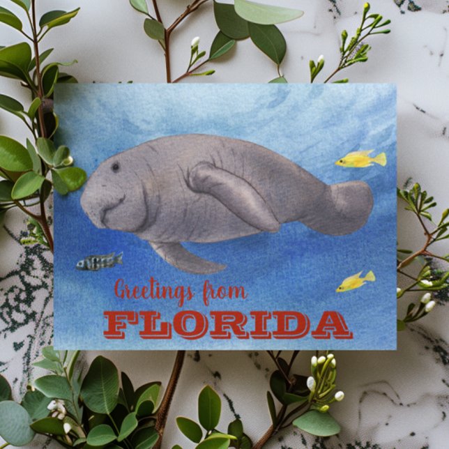 Carte Postale Florida Manatee Aquarelle sous l'eau (Créateur téléchargé)