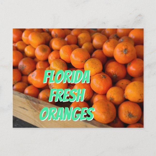 Carte Postale FLORIDA ORANGES FRAIS Farmer's Market Grove (Devant)