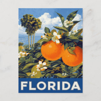Carte Postale Florida Oranges Vintage Travel