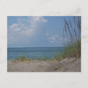 Carte postale Florida Paradise