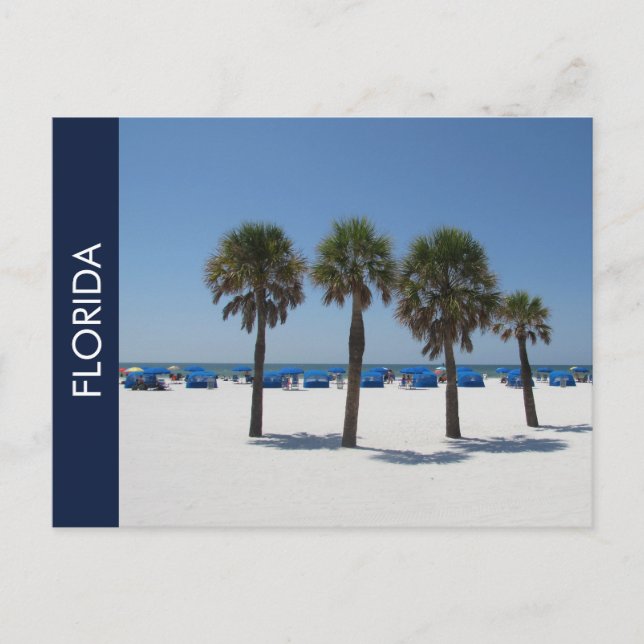Carte Postale Floride (Devant)