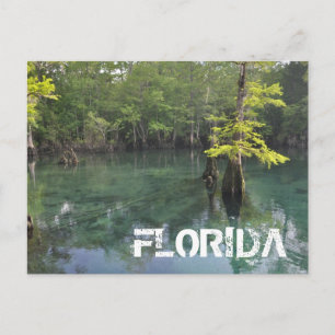 CARTE POSTALE FLORIDE