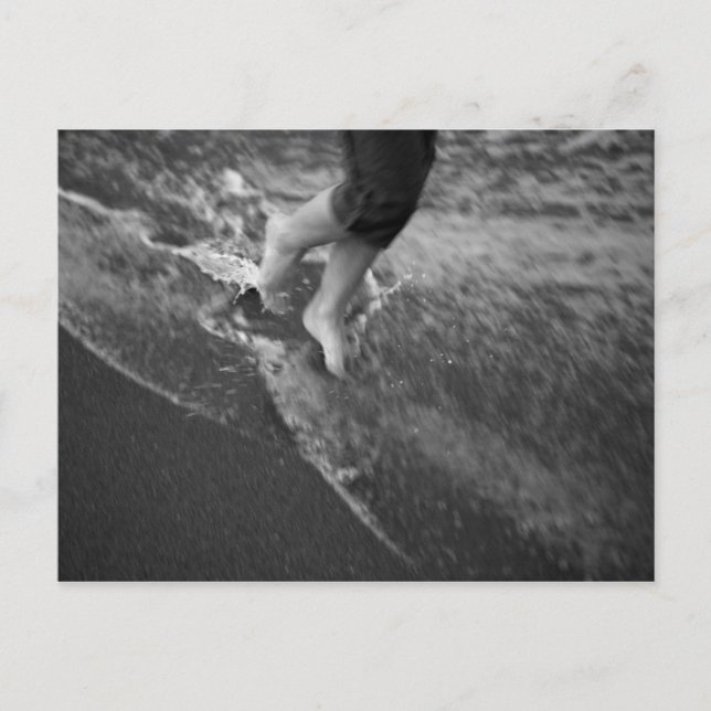 Carte postale Floride (Devant)